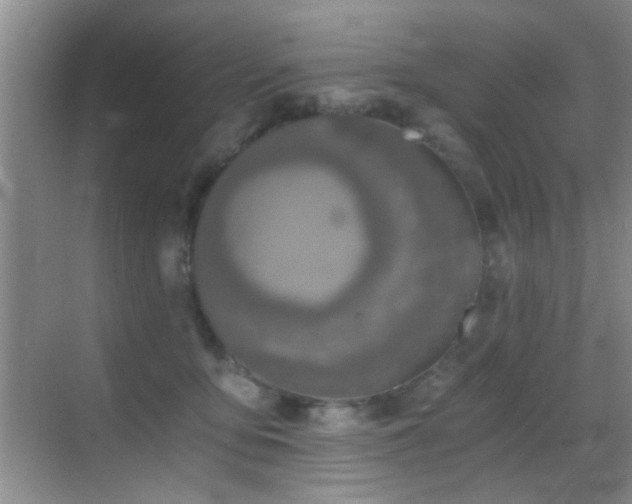 X0000069830419200605191145