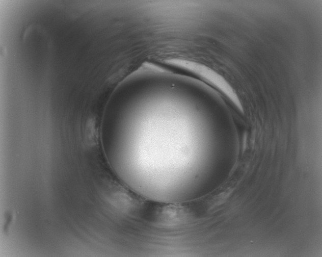 X0000069830420200605191145