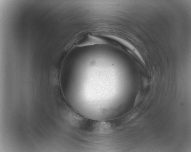 X0000069830421200605191145