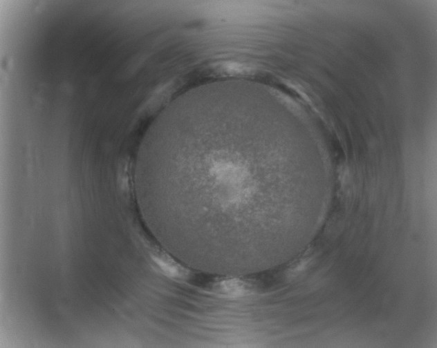 X0000069830423200605191145