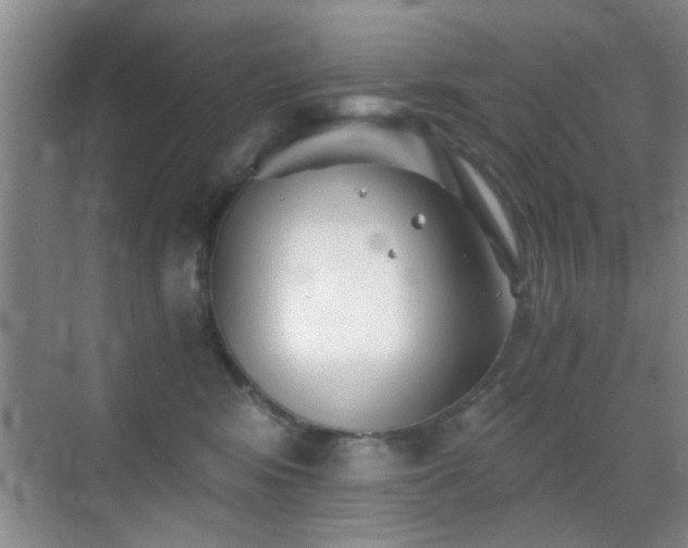 X0000069830424200605191145