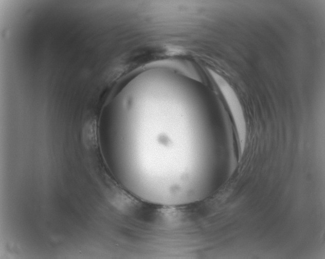 X0000069830425200605191145