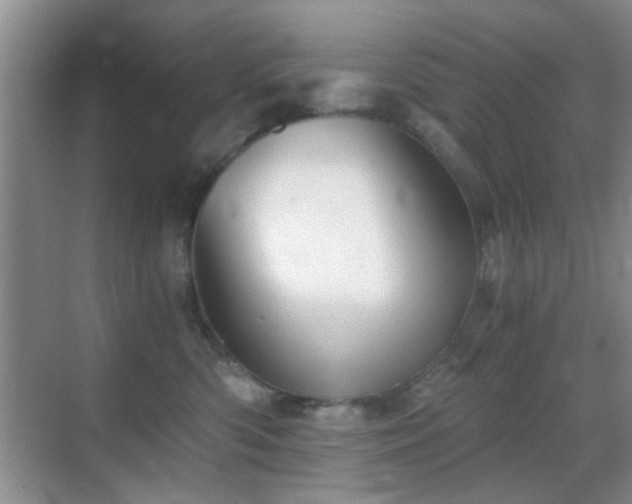 X0000069830426200605191145