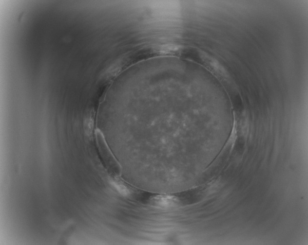 X0000069830427200605191145