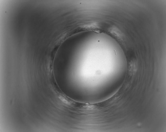 X0000069830428200605191145