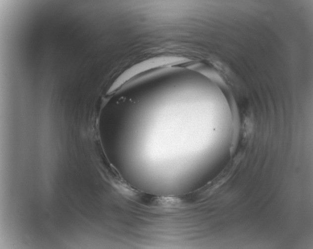 X0000069830429200605191144