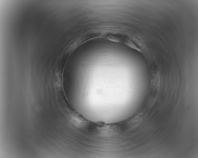 X0000069830430200605191144