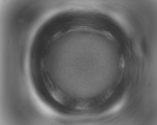 X0000069830431200605191144