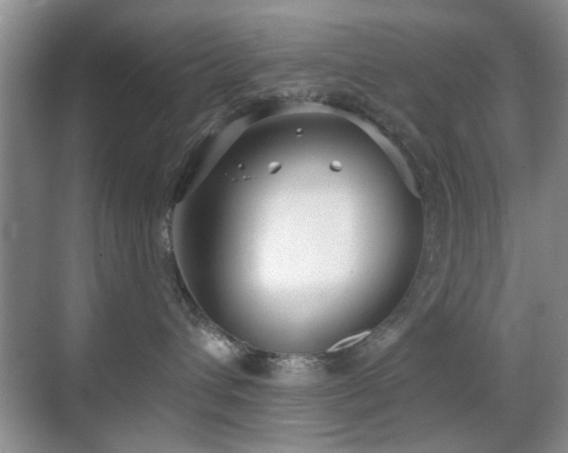 X0000069830432200605191144