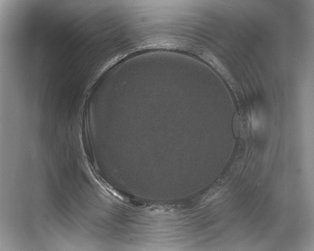 X0000069830434200605191144