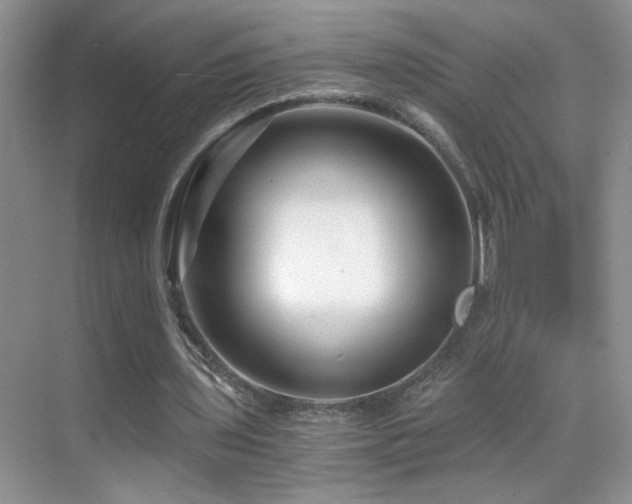 X0000069830435200605191144