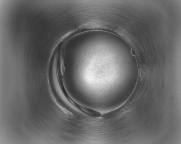 X0000069830438200605191144