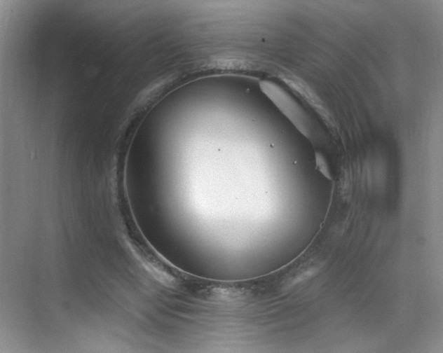 X0000069830442200605191144