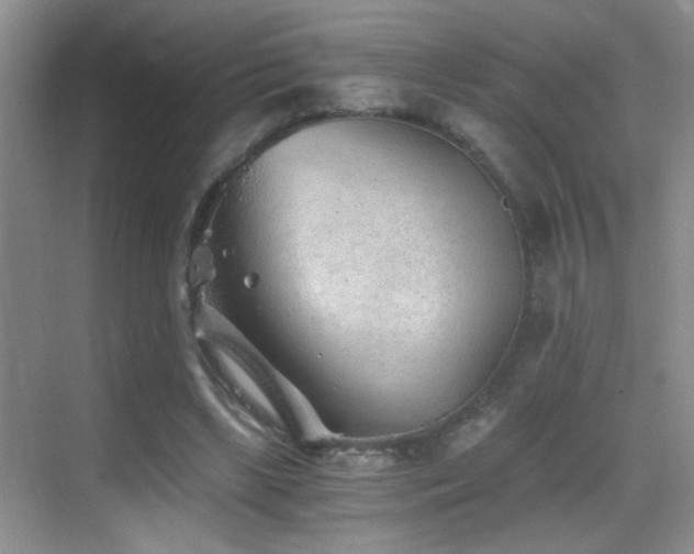 X0000069830443200605191144