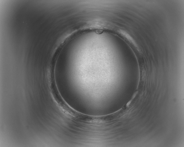 X0000069830444200605191144