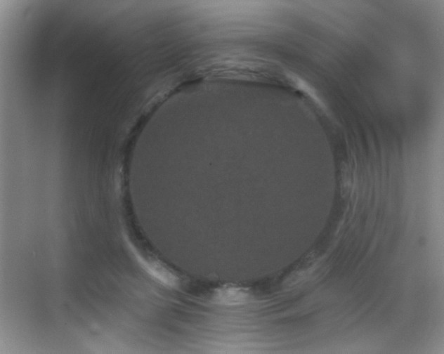 X0000069830451200605191144