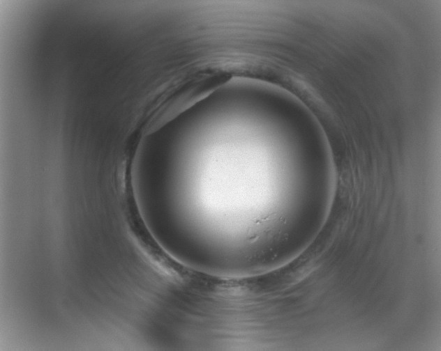 X0000069830454200605191144