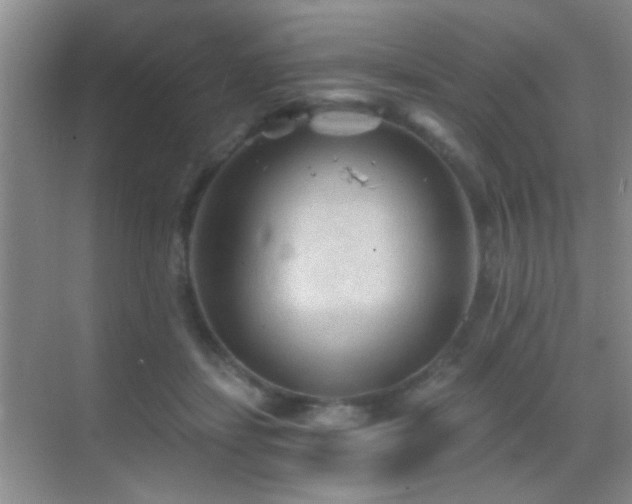 X0000069830459200605191144