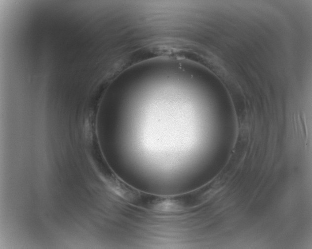 X0000069830460200605191144