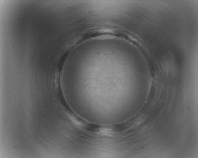 X0000069830462200605191144