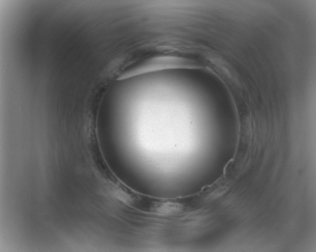 X0000069830463200605191144