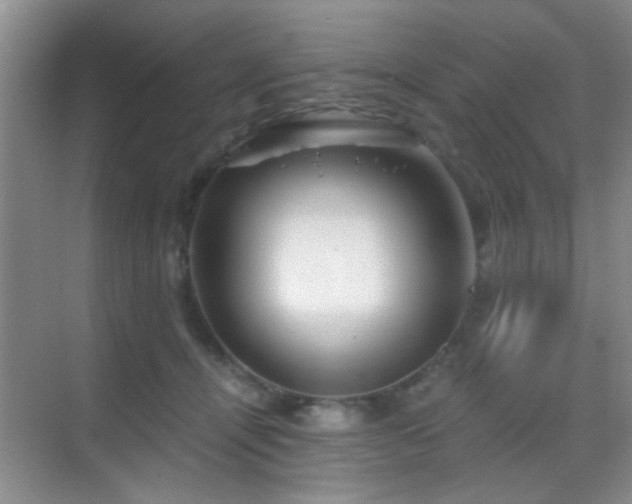 X0000069830464200605191144