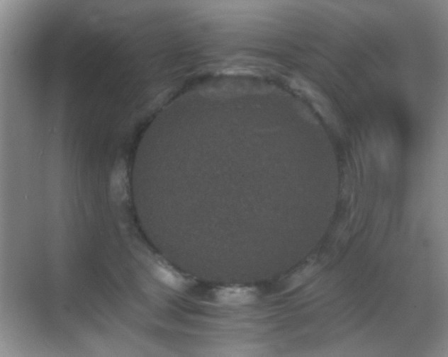 X0000069830465200605191144