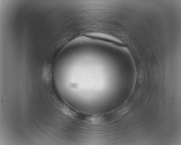 X0000069830466200605191144