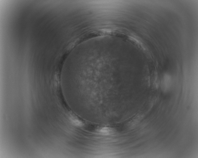 X0000069830467200605191144