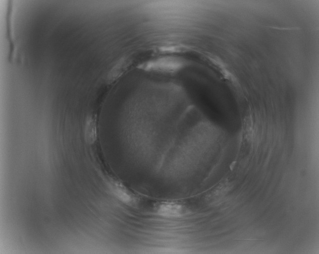 X0000069830471200605191144