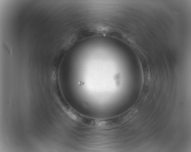 X0000069830472200605191144