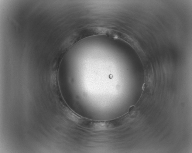 X0000069830473200605191144