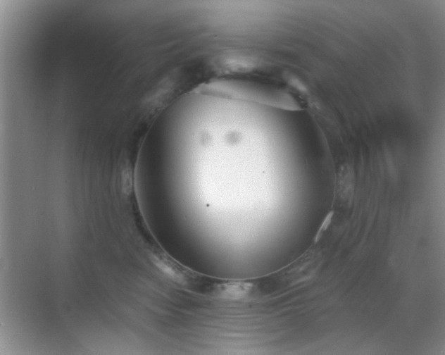 X0000069830474200605191144