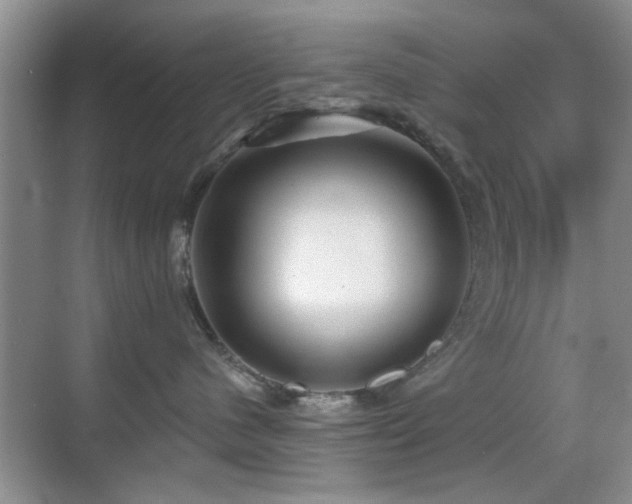 X0000069830480200605191144