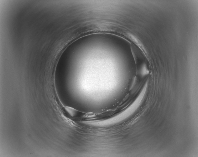 X0000069830481200605191144