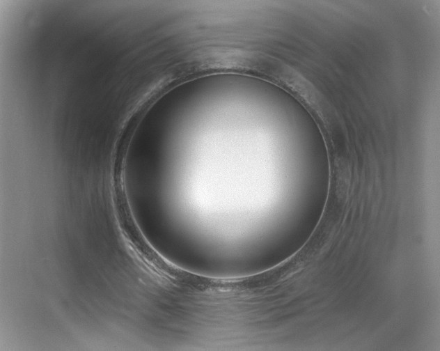 X0000069830482200605191144