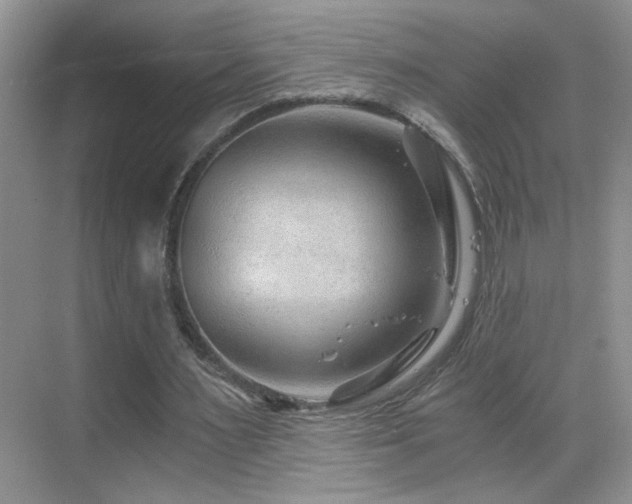 X0000069830483200605191144