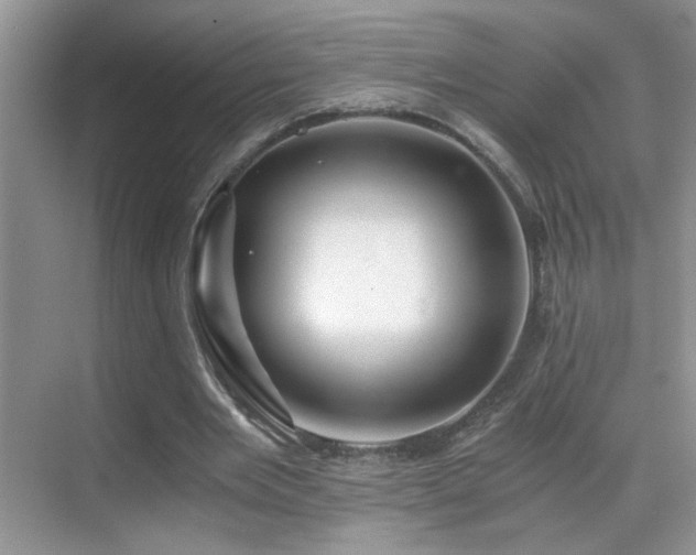 X0000069830485200605191144