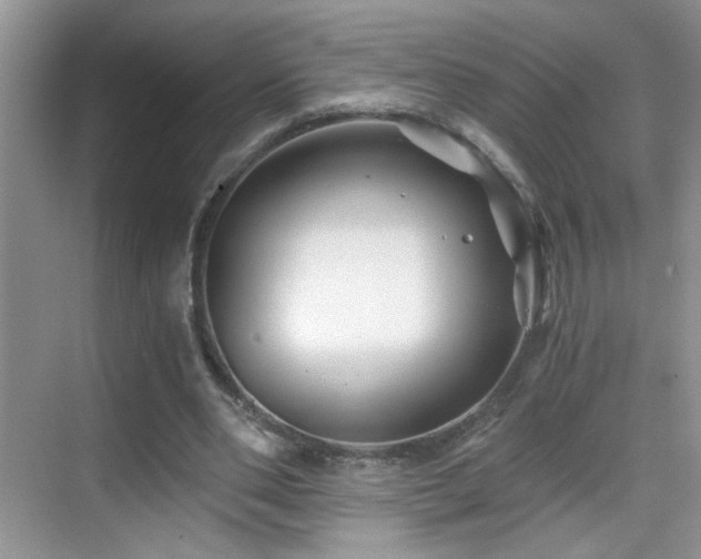 X0000069830486200605191144