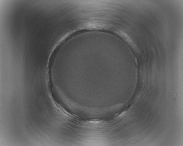 X0000069830488200605191143