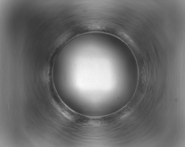 X0000069830490200605191143