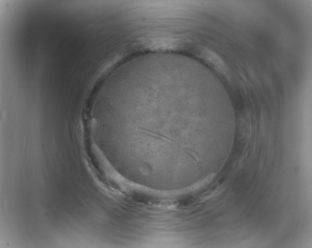 X0000069830491200605191143