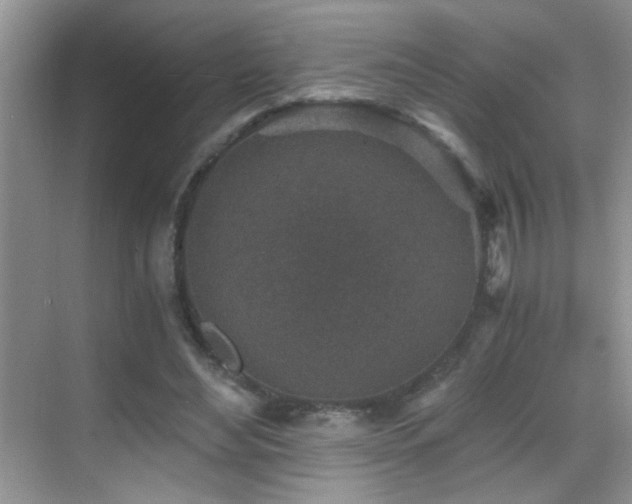 X0000069830492200605191143