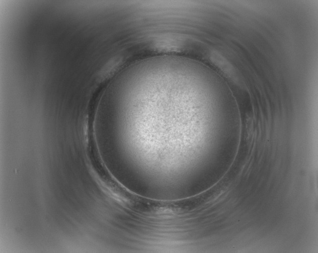 X0000069830494200605191143