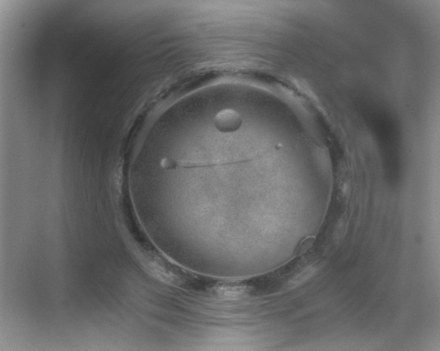 X0000069830495200605191143