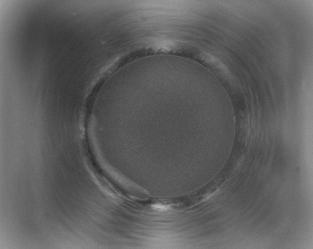 X0000069830496200605191143