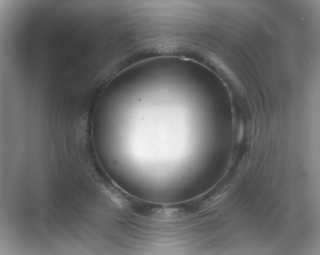 X0000069830497200605191143