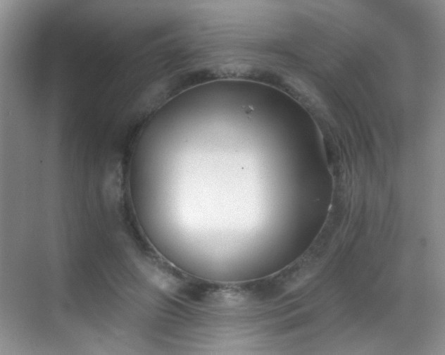 X0000069830498200605191143