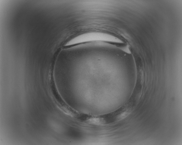 X0000069830499200605191143