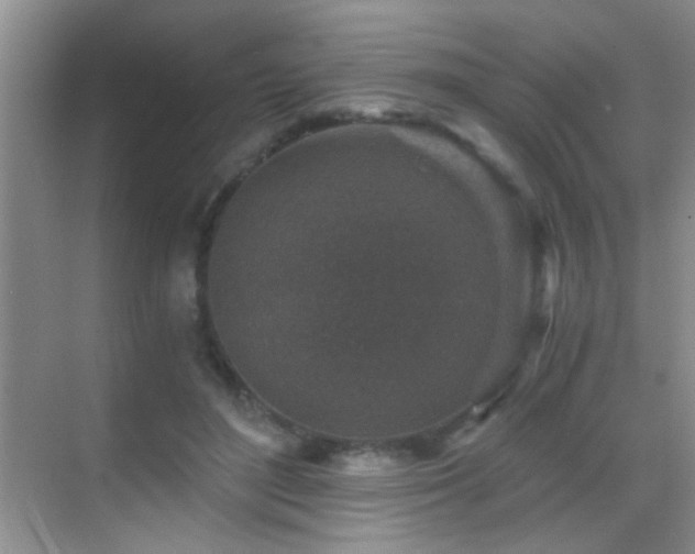 X0000069830500200605191143